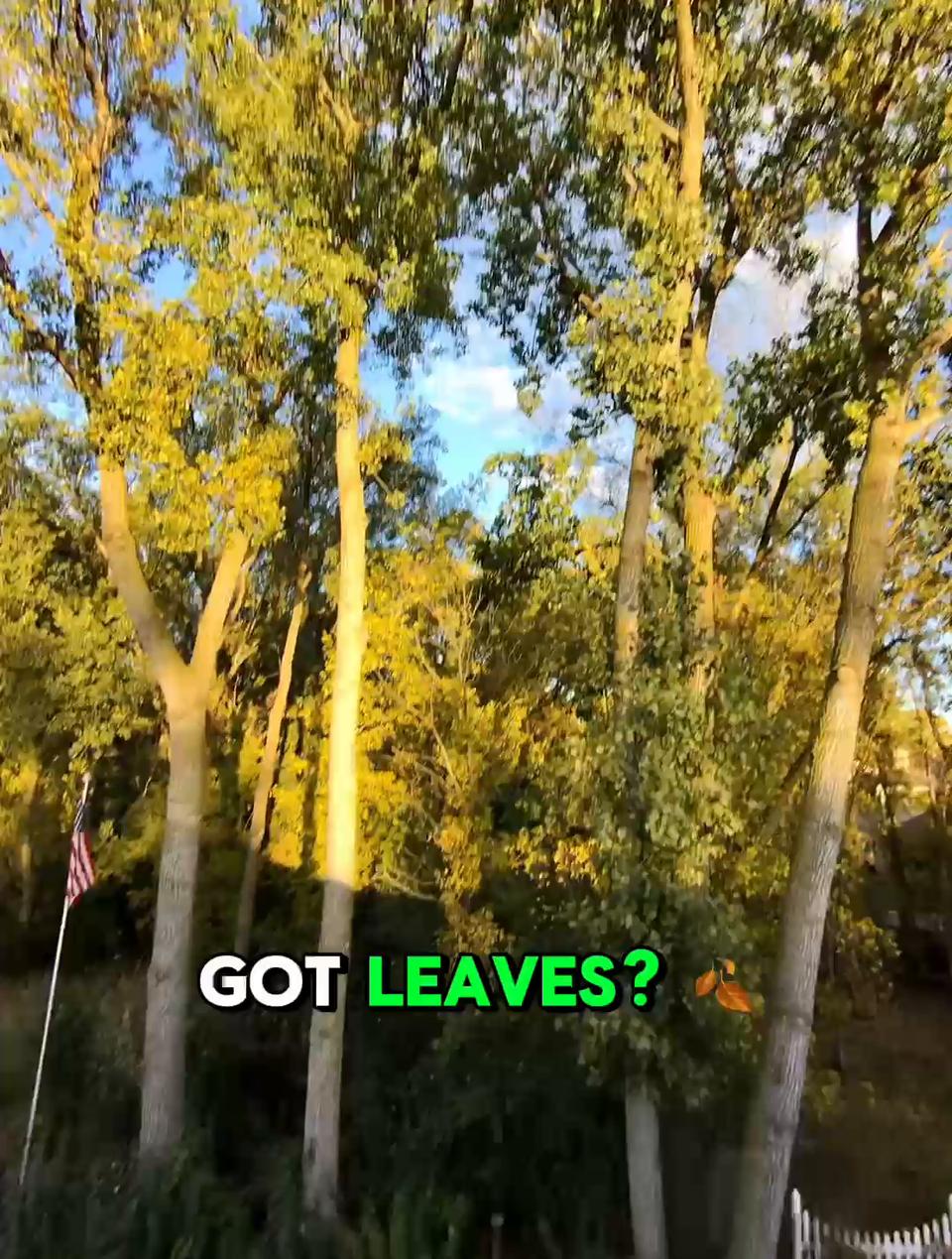 POV gutter cleaning video